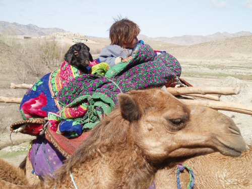 Toddler in Afghanistan